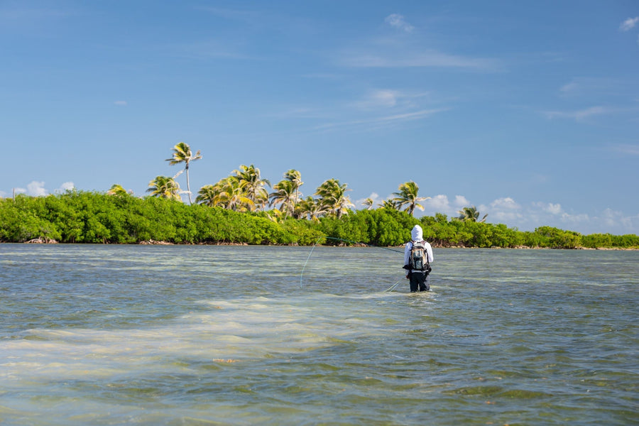 Angler wading and casting a fly rod on shallow tropical flats with mangroves and palm trees in the background