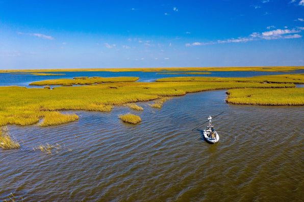 Anglers fly fishing from a small boat in a grassy coastal marsh