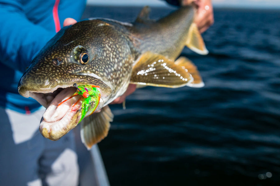 Angler holding a large trout with a bright green streamer fly hooked in its mouth over dark lake water
