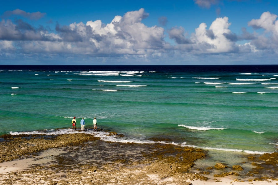Three fly fishermen casting from a rocky tidal flat into turquoise ocean at Providence Atoll under a cloud-filled sky