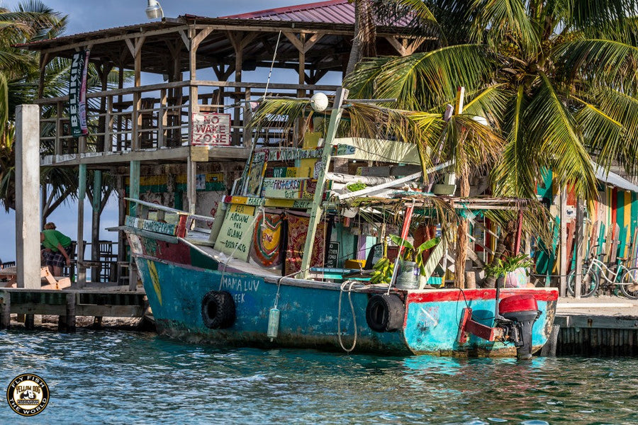Colorful fishing boat moored at a palm lined dock in Belize beside a bright rustic waterfront shack