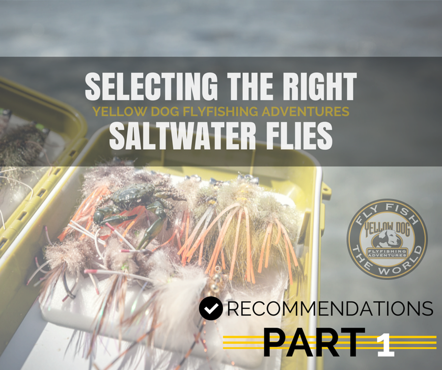 Banner with headline Selecting the Right Saltwater Flies over photo of a fly box of saltwater flies and Yellow Dog logo