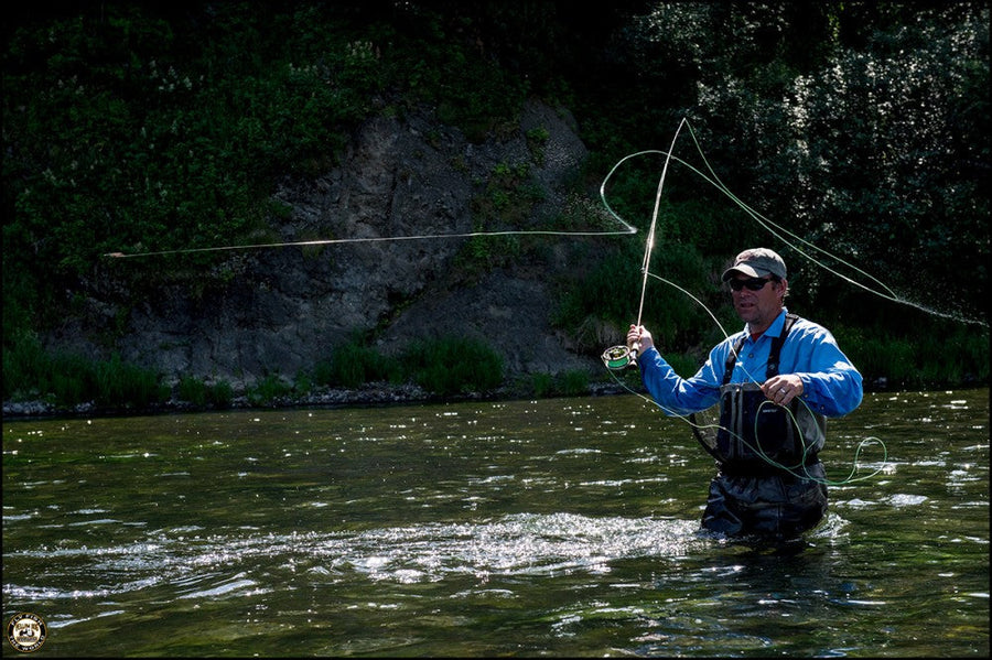 Angler casting a fly rod while wading in a shallow river, wearing blue waders, fly line arcing against wooded riverbank