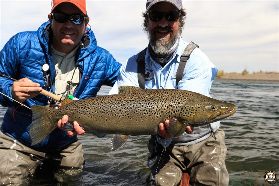 Two anglers holding a large brown trout while knee-deep in a river on a fly fishing trip in Bariloche, Argentina