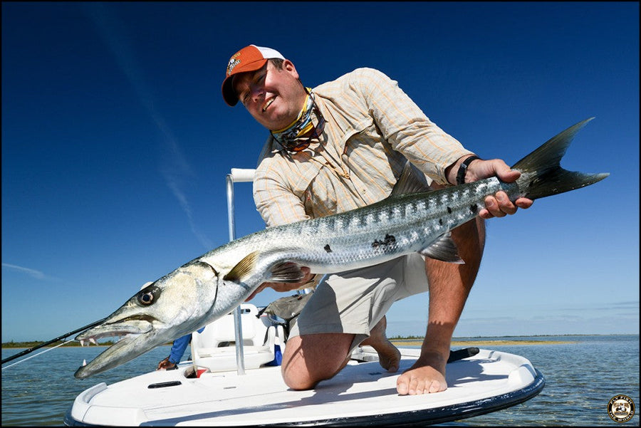 Angler holding a large barracuda on a flats skiff during a Bahamas fly fishing trip