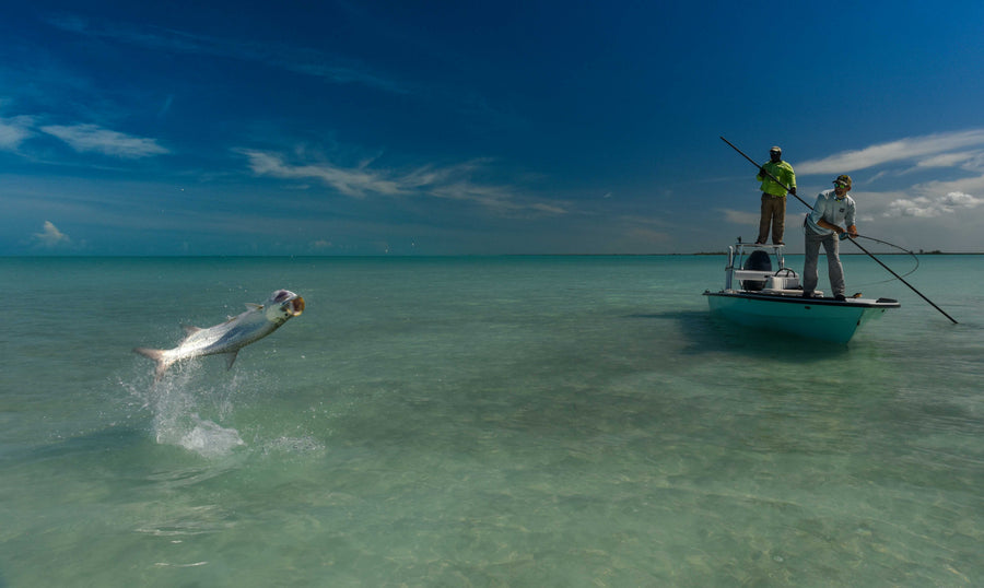 Two fly-fishermen poling a flats boat as a tarpon leaps from clear shallow Bahamian water under a deep blue sky