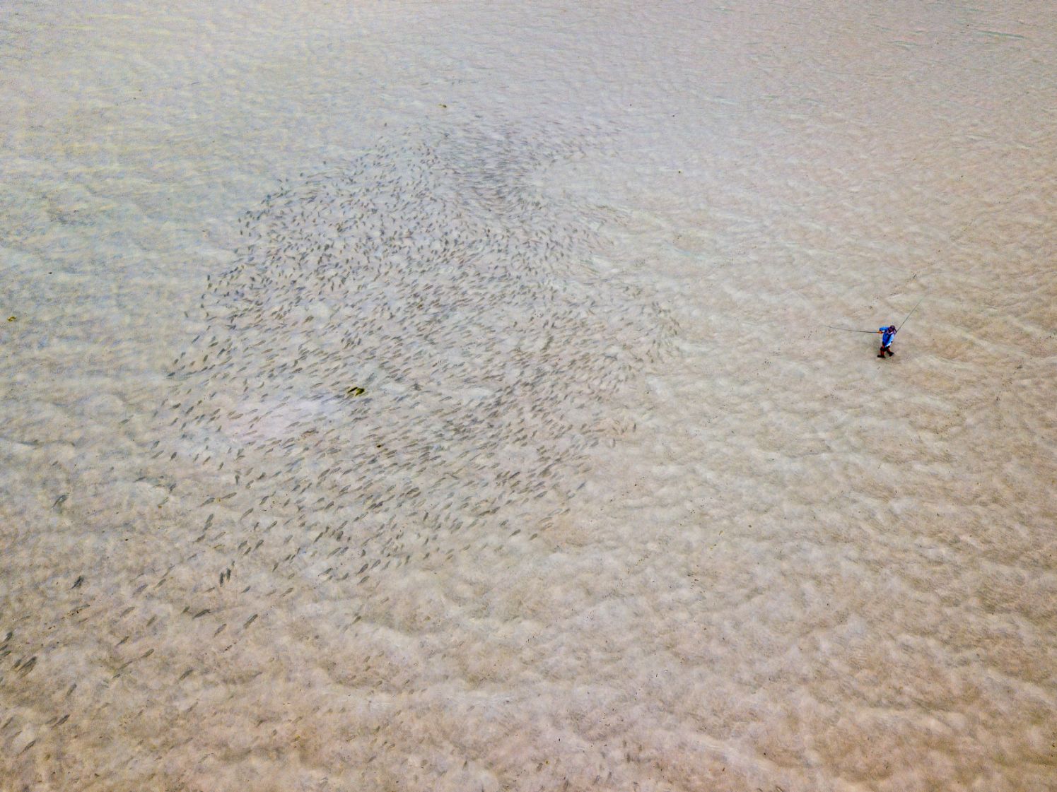 articles/605141074234.jpg