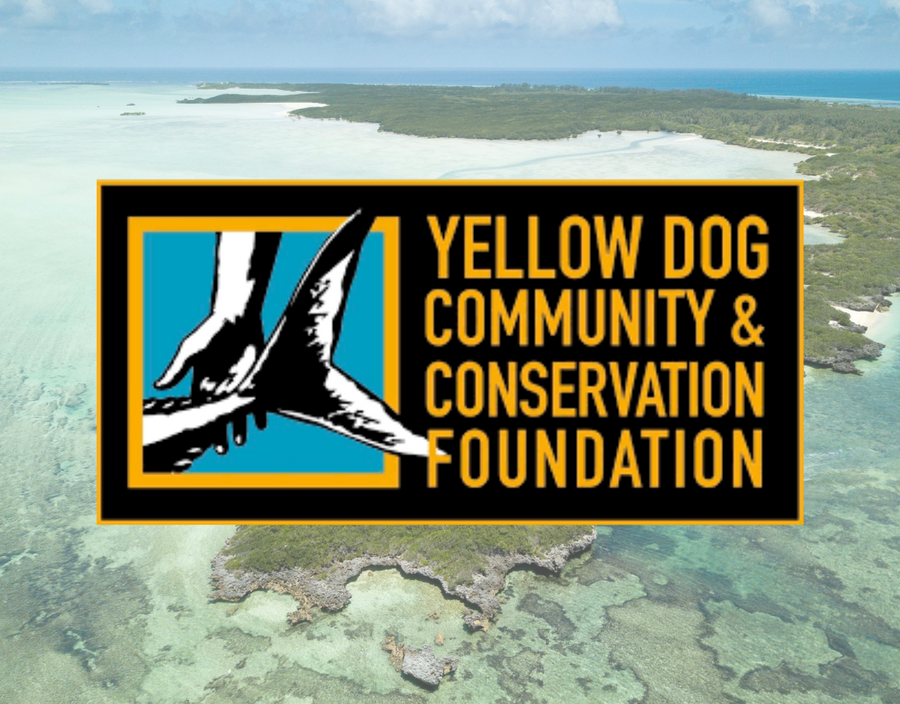 Yellow Dog Community and Conservation Foundation logo