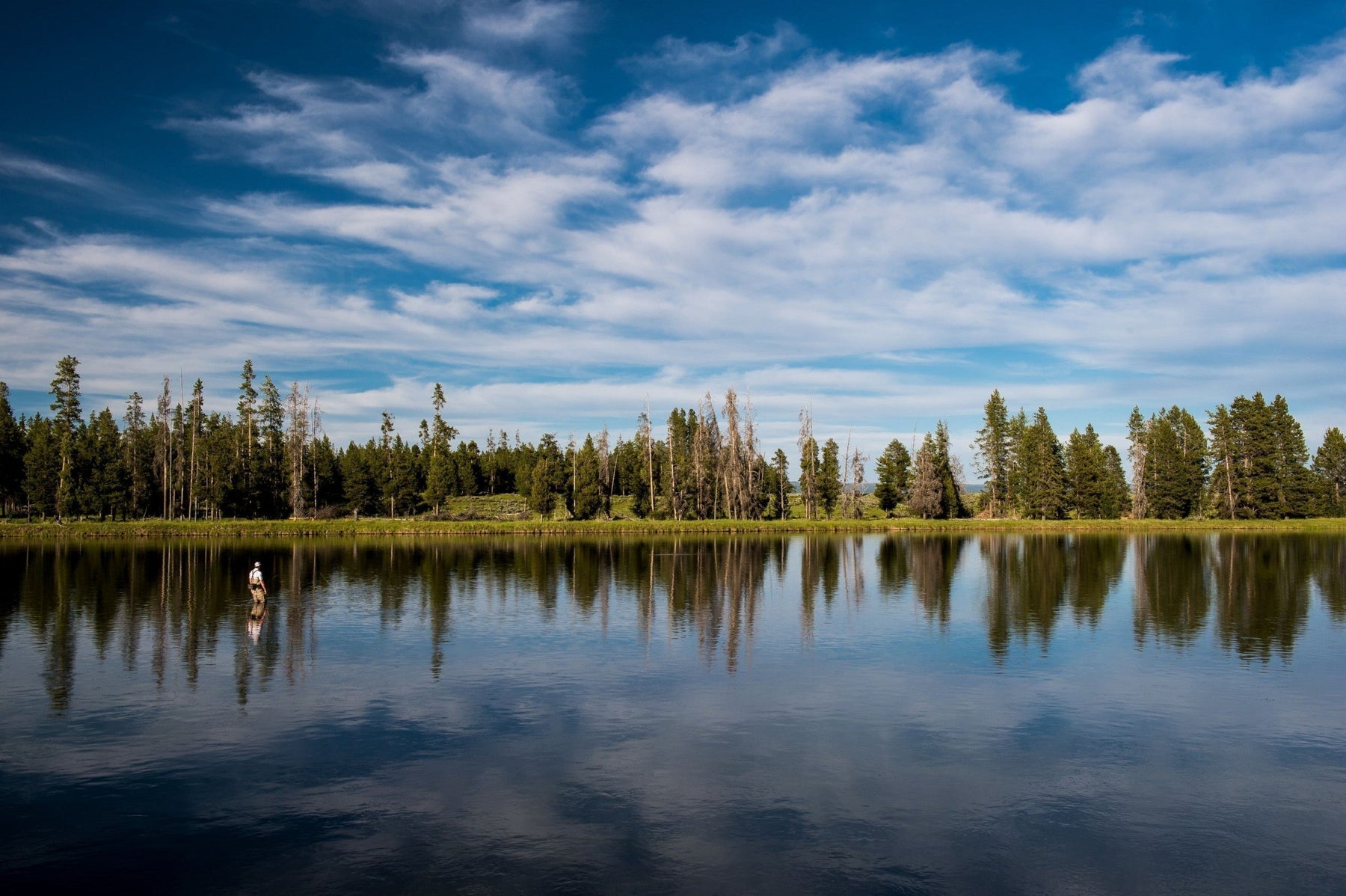 Fly fisher wading in a calm lake beneath a cloudy sky, with a forested shoreline reflected in the water