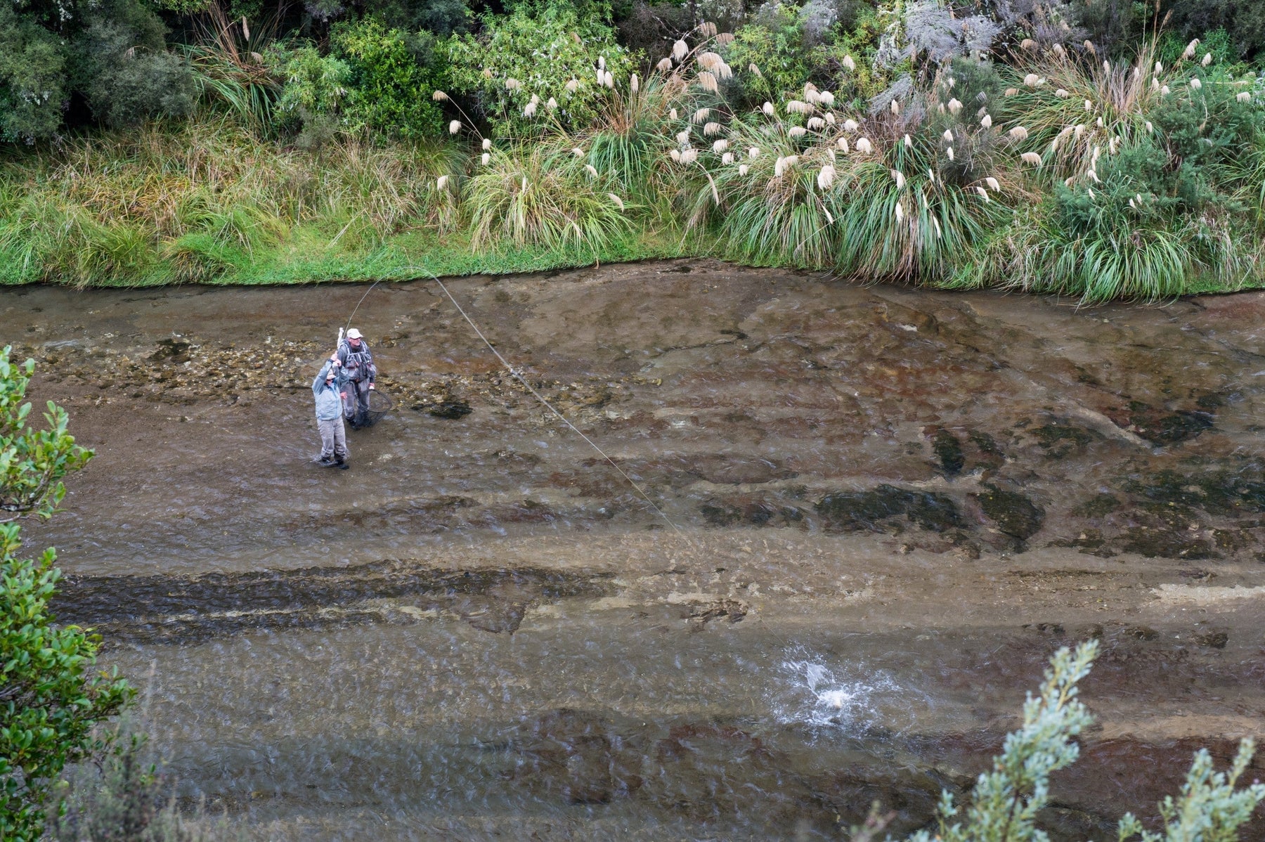Two fly fishers wade through a shallow New Zealand stream surrounded by lush vegetation