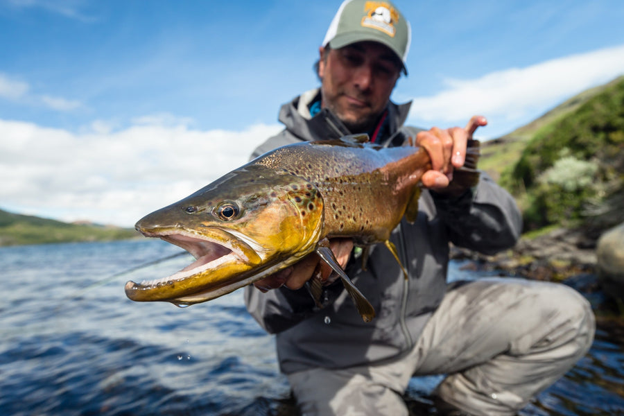 Angler holding a large brown trout toward camera on a Chilean lake during a fly fishing trip