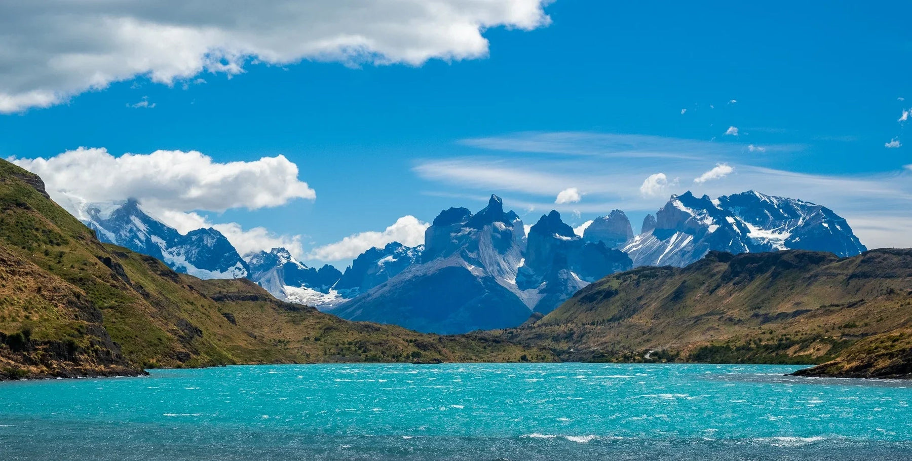 Turquoise lake with grassy shore in foreground and snow-capped jagged Patagonia peaks under a bright blue sky