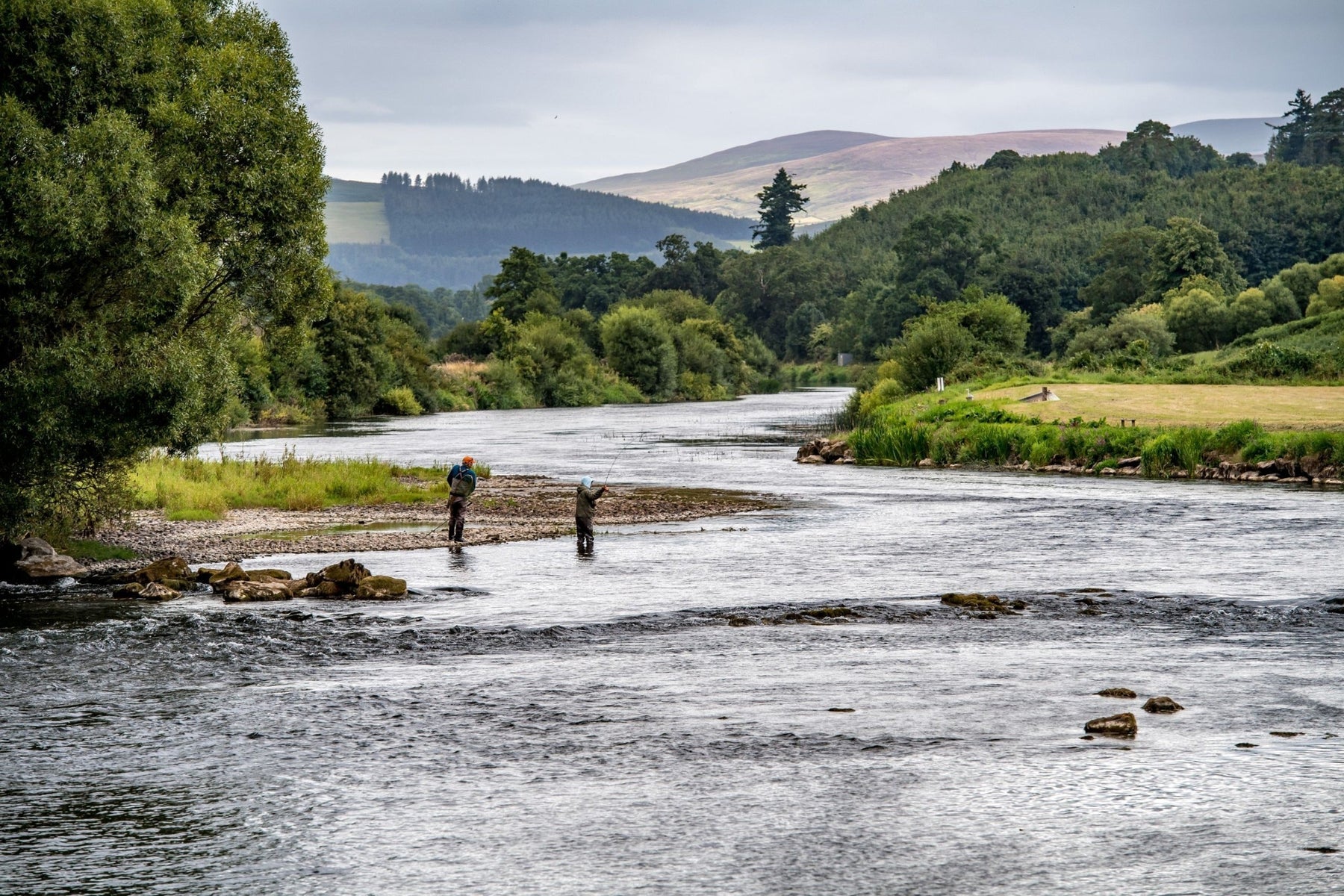 Two anglers fly fishing in a river surrounded by trees and rolling hills