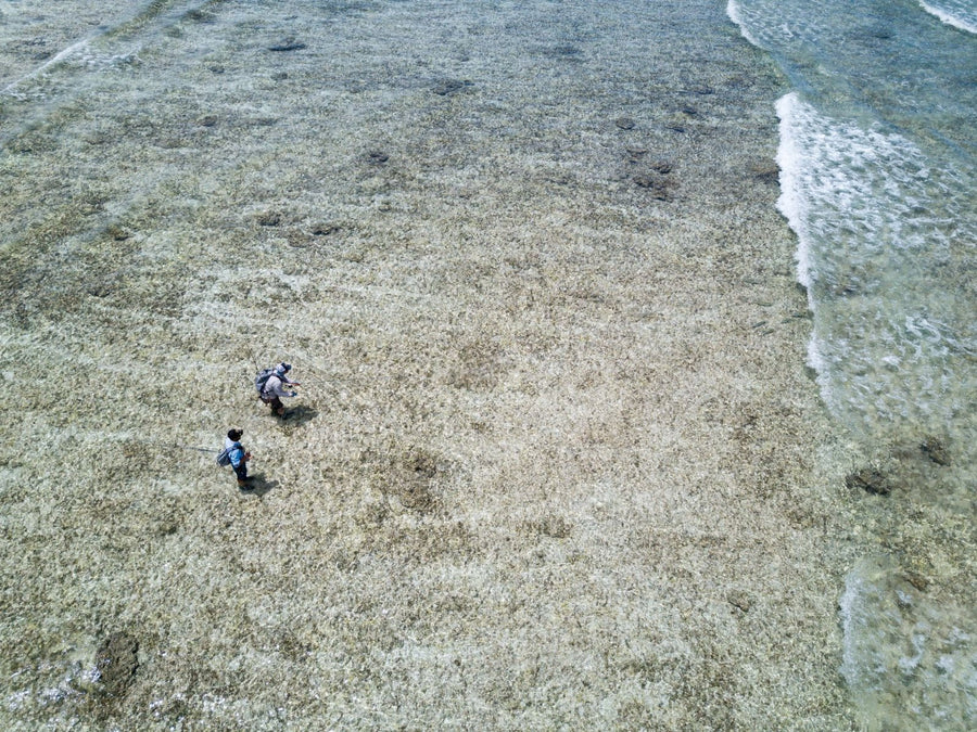 Two anglers wading and fly fishing on a shallow coral flat near a breaking shoreline at Astove Atoll