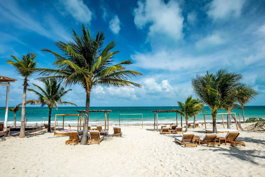 Palm trees lining a white-sand beach with wooden lounge chairs and open cabanas facing turquoise ocean under a bright blue sky