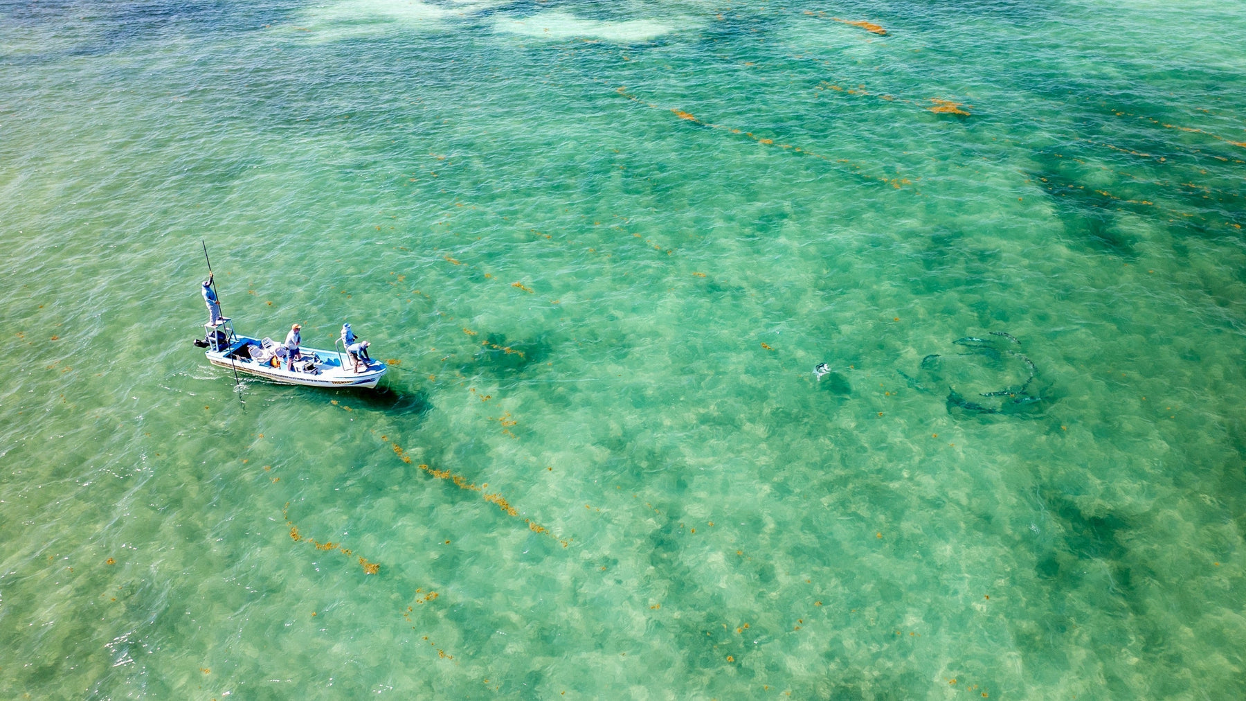 Anglers fly fishing from a boat over clear turquoise Yucatan waters