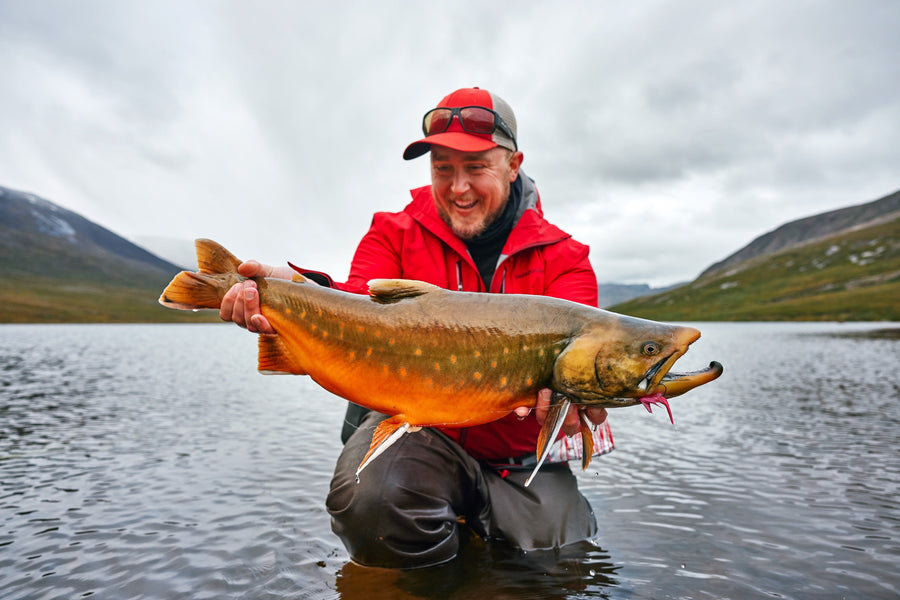Fly fisherman holding a large orange Arctic char while kneeling in a mountain lake under a cloudy sky