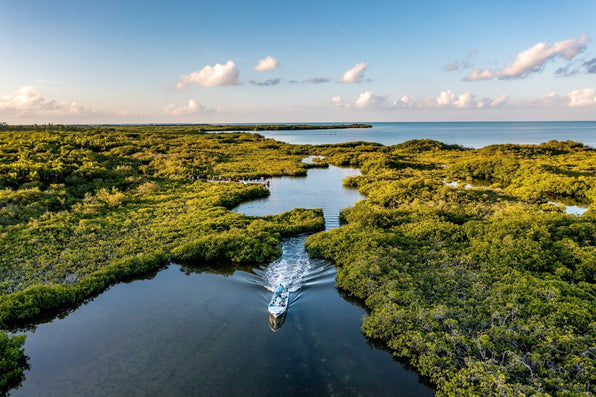 A small boat with passengers travels through mangrove channels toward the sea at Ascension Bay