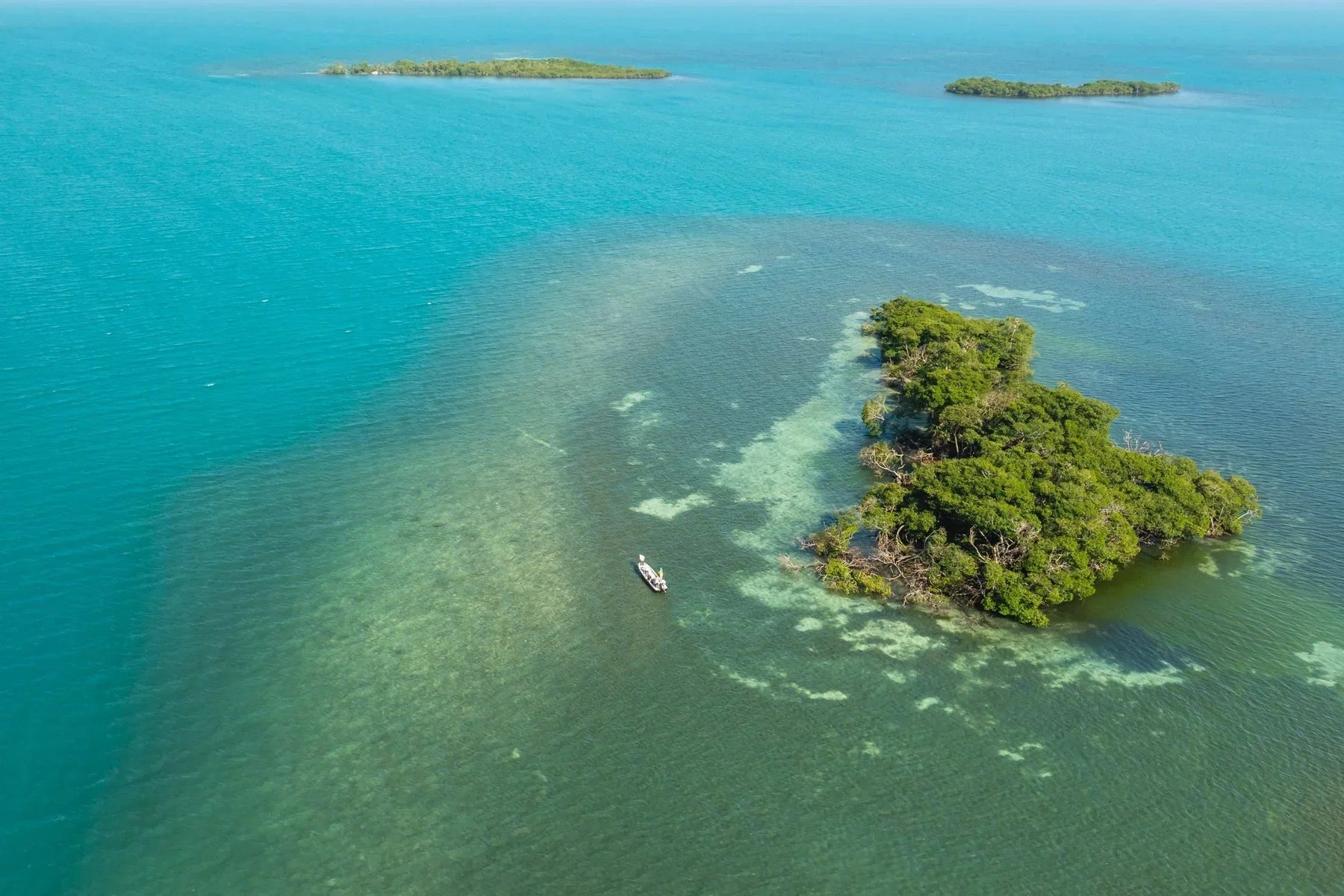 Small boat on turquoise waters near a tree-covered island