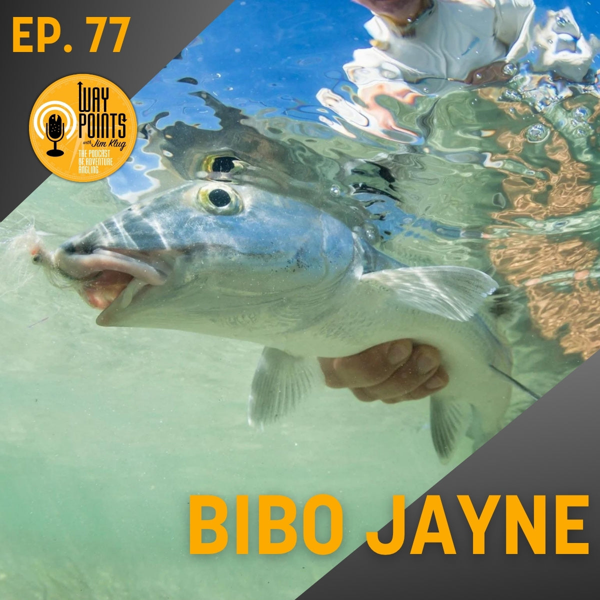 Person holds a large fish in shallow water for Waypoints podcast episode 77 featuring Bibo Jayne