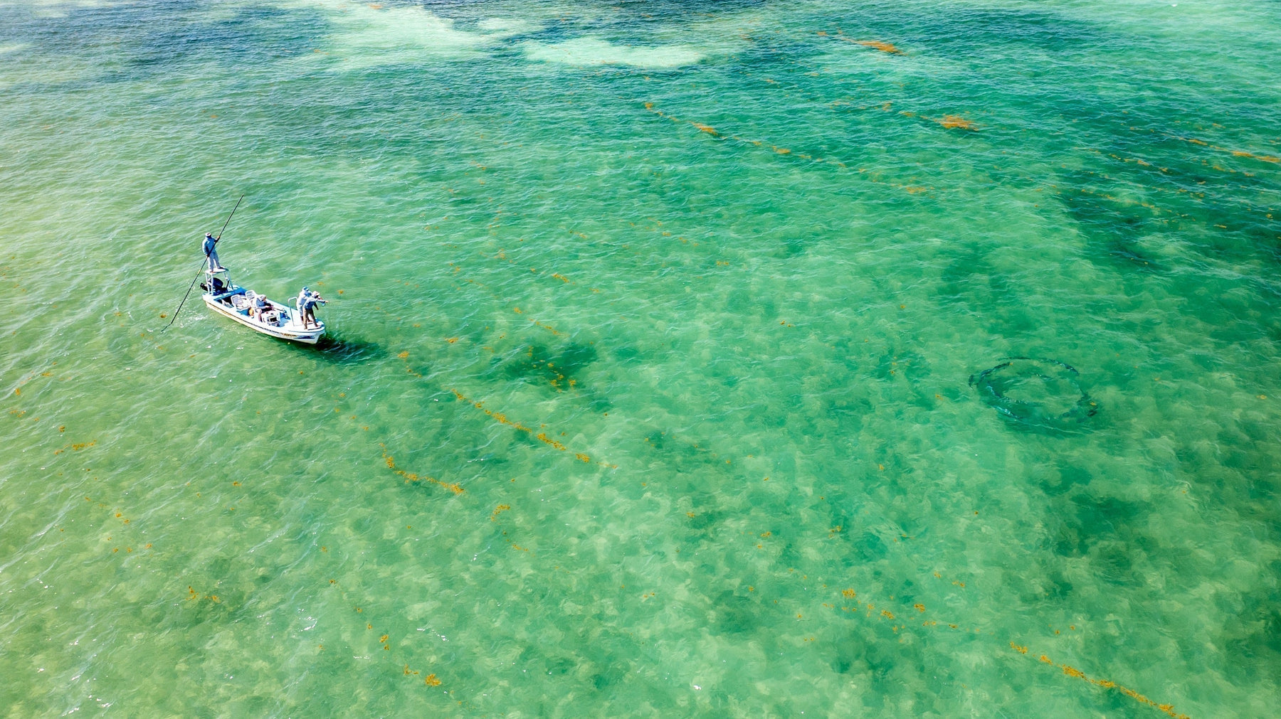 Anglers fly fishing from a skiff in shallow turquoise water