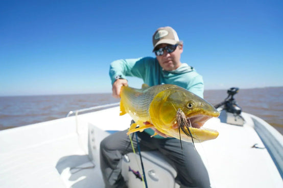 Angler holds a golden dorado with a fly in its mouth on a boat under a clear blue sky