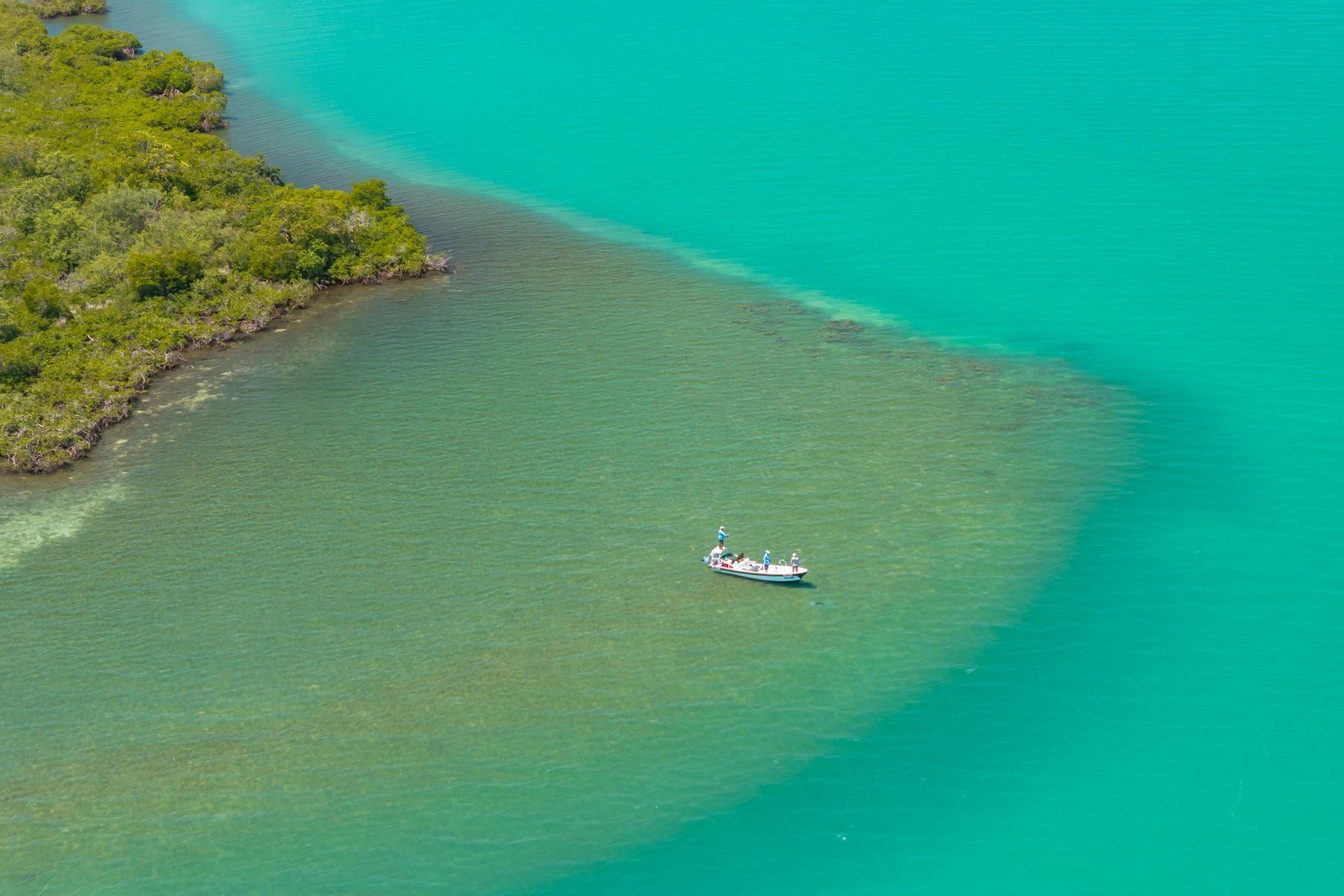 Boat with people floating on turquoise water beside a mangrove shoreline in Belize