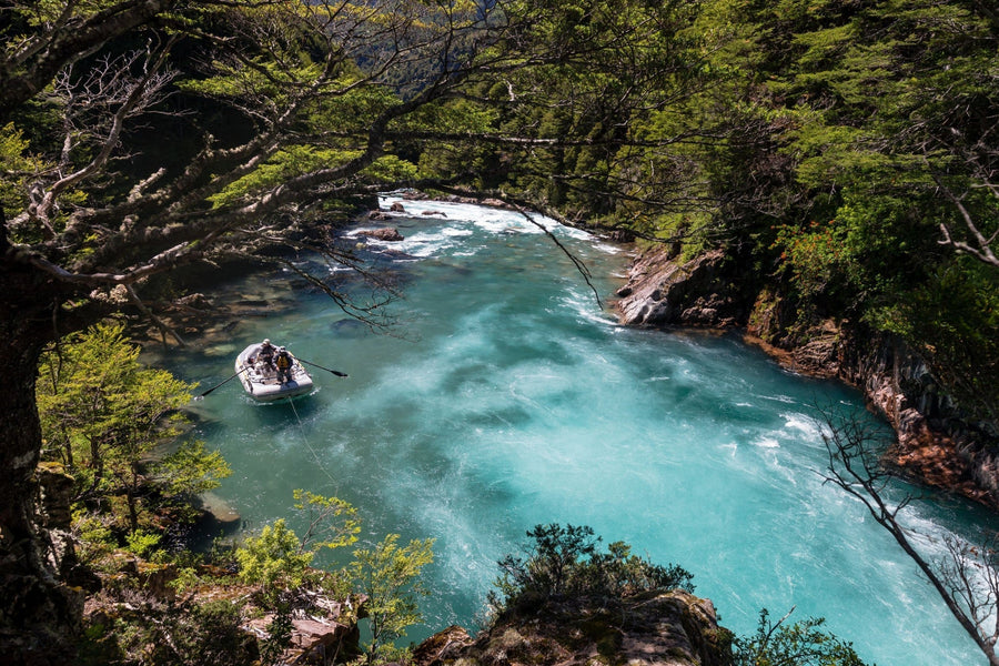 yellow-dog-flyfish Choosing the Right Destination in Patagonia: Argentina or Chile?.