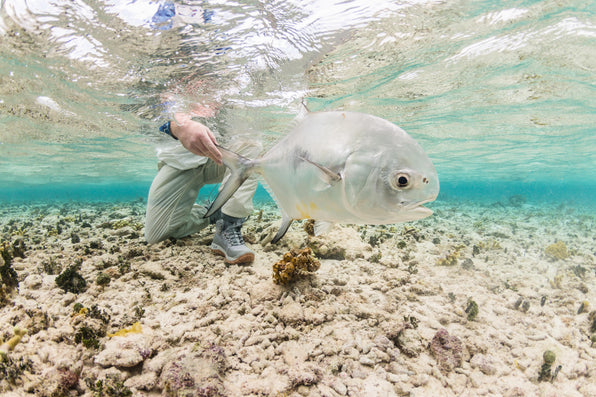 The Ultimate Guide to Fly Fishing in Belize