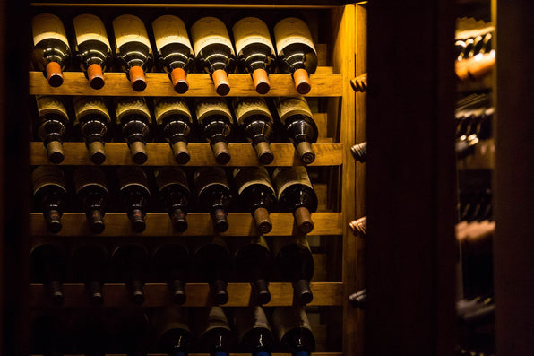 yellow-dog-flyfish Buenos Aires Travel Tips & Recommendations.