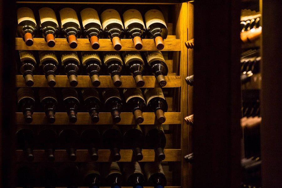 yellow-dog-flyfish Buenos Aires Travel Tips & Recommendations.