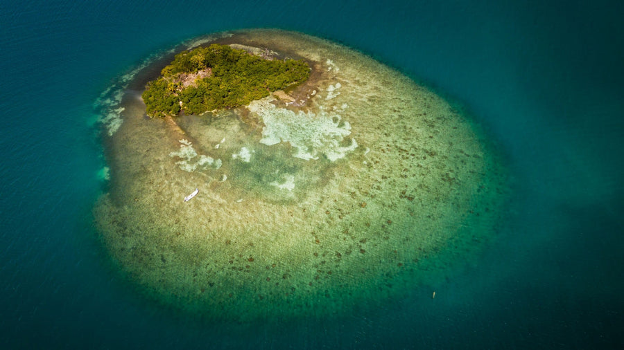 yellow-dog-flyfish Expanded Flight Options to Belize.