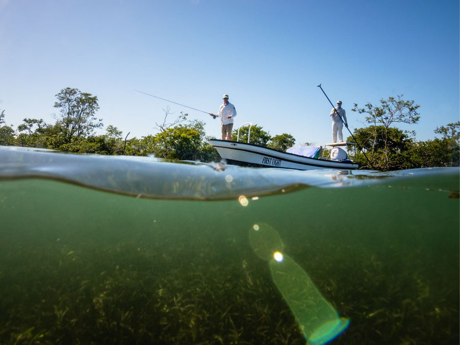 yellow-dog-flyfish Major Discount to Copal Tree Lodge and Blue Horizon Lodge.