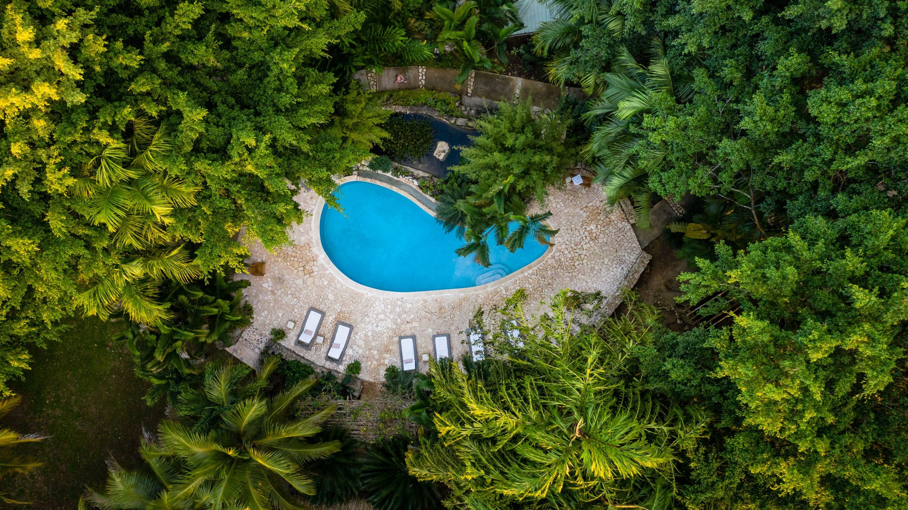 articles/BGP_WP_COPAL_TREE_02-2019_foodlodging-47_5882311d-612e-4a49-85b5-1da4f47e6682.jpg