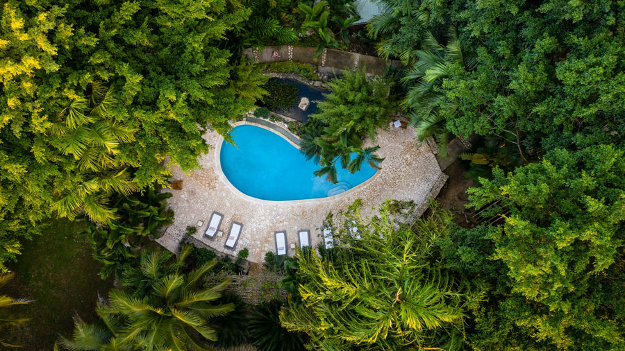 yellow-dog-flyfish Belize: Copal Tree Lodge Trip Report December 2020.