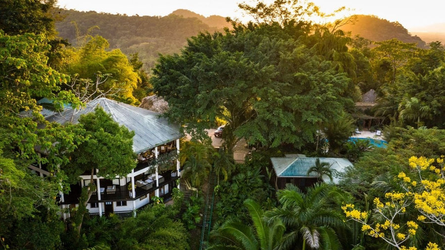 Summer 2024 30% Discount to Copal Tree Lodge