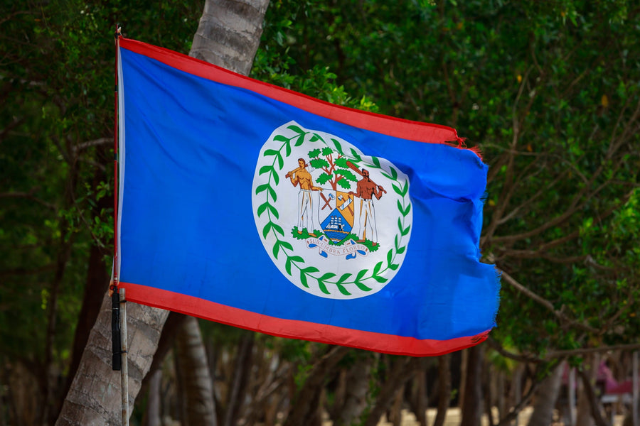 yellow-dog-flyfish Permanent Ban on Gillnets in Belize One Step Closer.