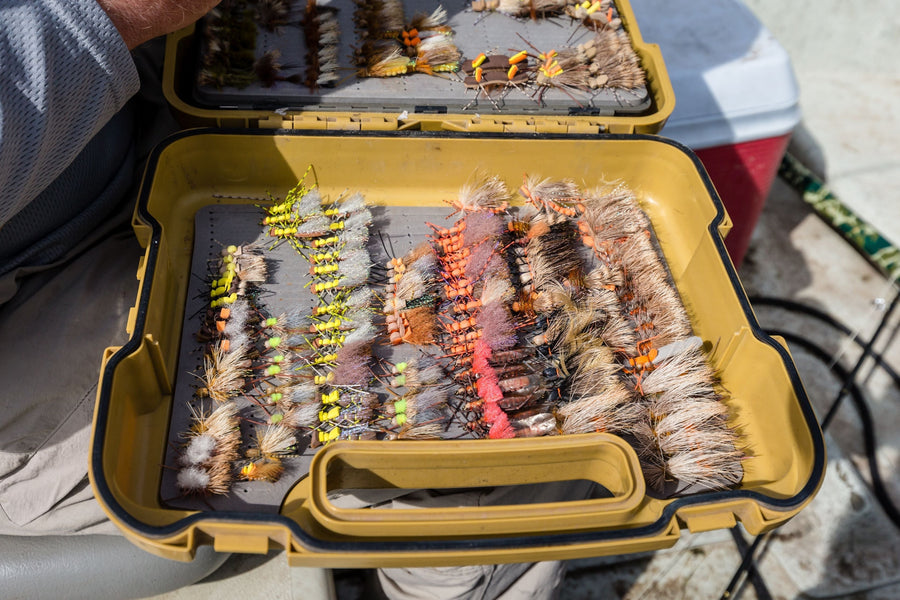 yellow-dog-flyfish The West’s Best Hatches and Where to Fish Them.