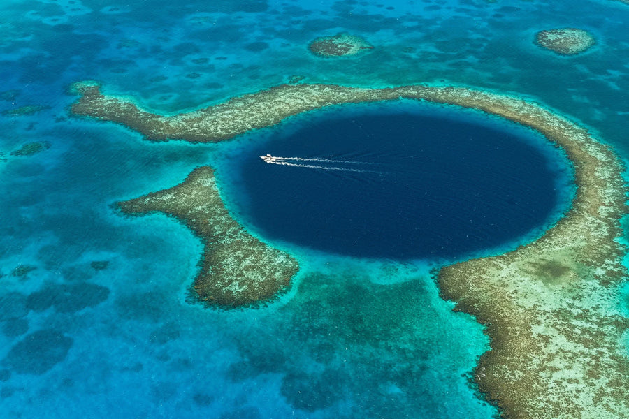 yellow-dog-flyfish Pay 4 Nights and Stay 7 Promotion at Turneffe Island Resort.