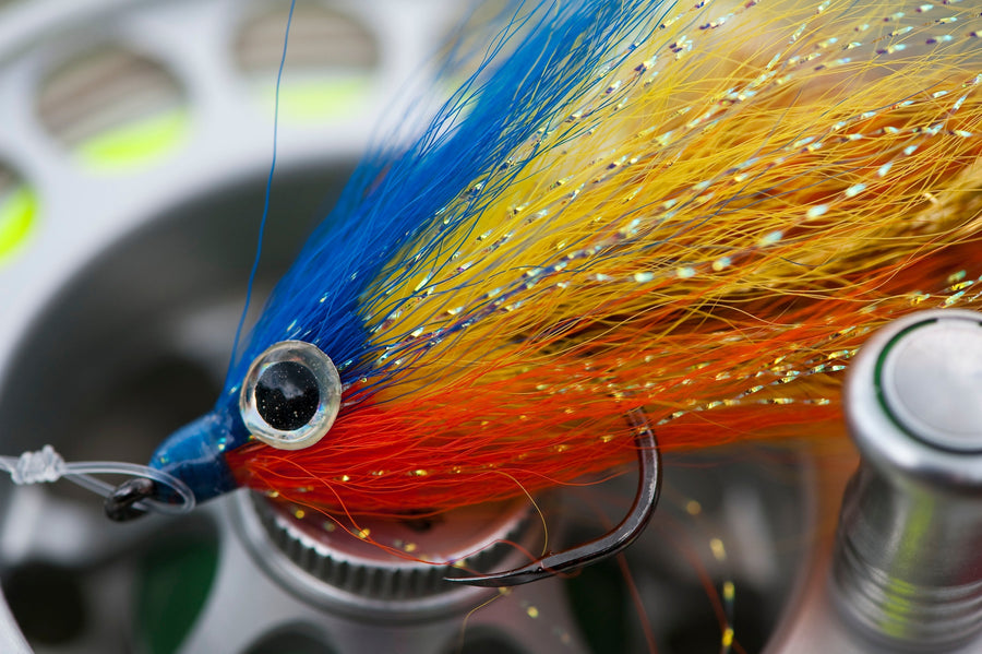 yellow-dog-flyfish Top 15 Peacock Bass Flies for Fly Fishing.