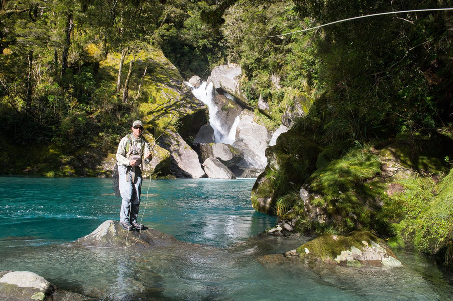 yellow-dog-flyfish New Zealand Announces End of Covid Restrictions!.