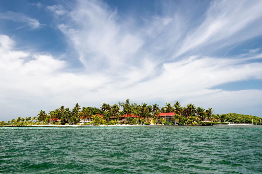 yellow-dog-flyfish July 2025 Client Trip Recap: Turneffe Island Resort.