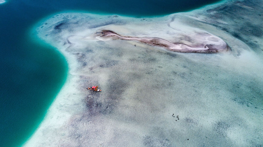 yellow-dog-flyfish October, 2023: Ikari House Client Trip Recap.