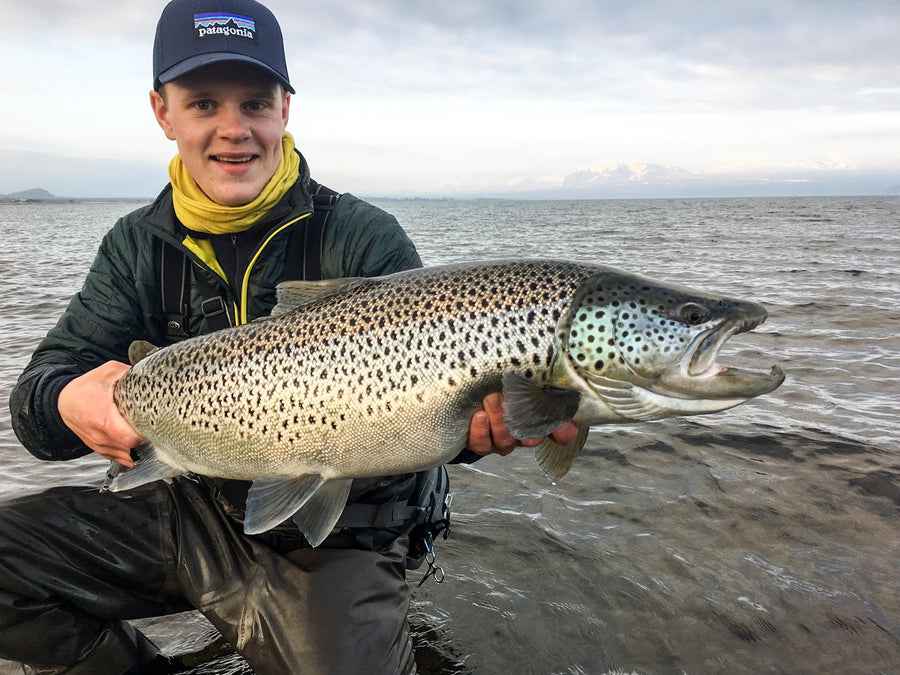 yellow-dog-flyfish Iceland: Fish Partner Prime Dates Available After Cancellation.