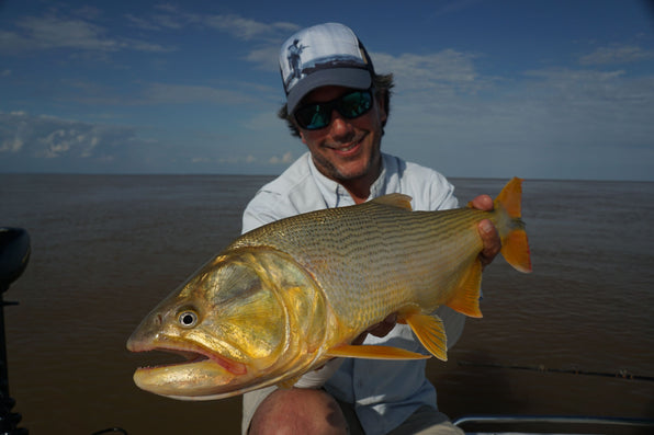 yellow-dog-flyfish 4 Must-Visit Golden Dorado Fishing Destinations in Argentina.
