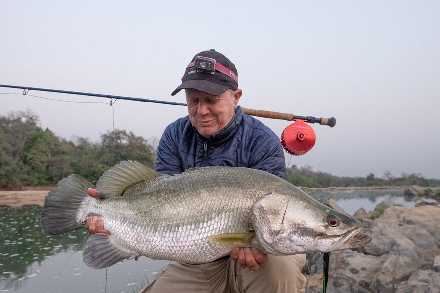 yellow-dog-flyfish Trip Report. Part Two: Cameroon - Gabon Combo with African Waters.