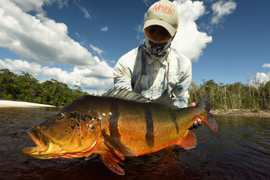 yellow-dog-flyfish Brazil: Amazon Combo Fishing Trip Packages.