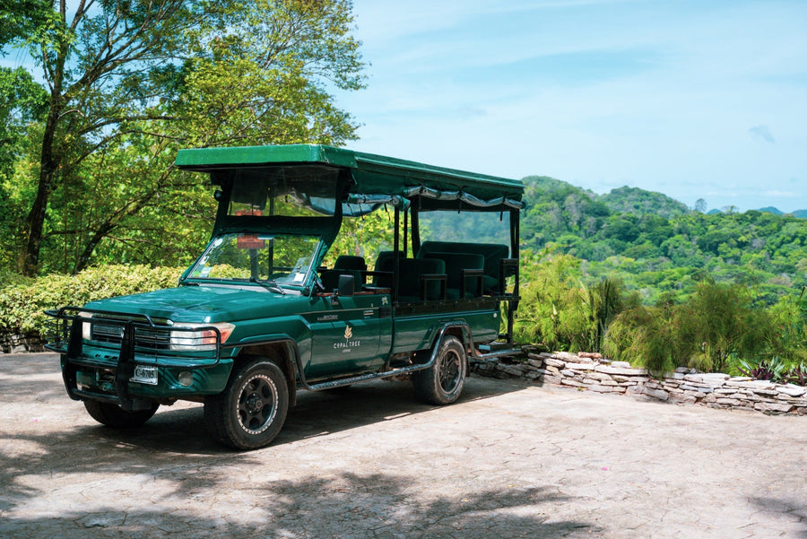 yellow-dog-flyfish 2024 Copal Tree Lodge Trip Report.