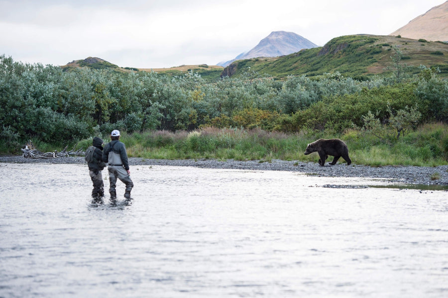 yellow-dog-flyfish Alaska: No See Um Lodge 2024 Discounted Availability.