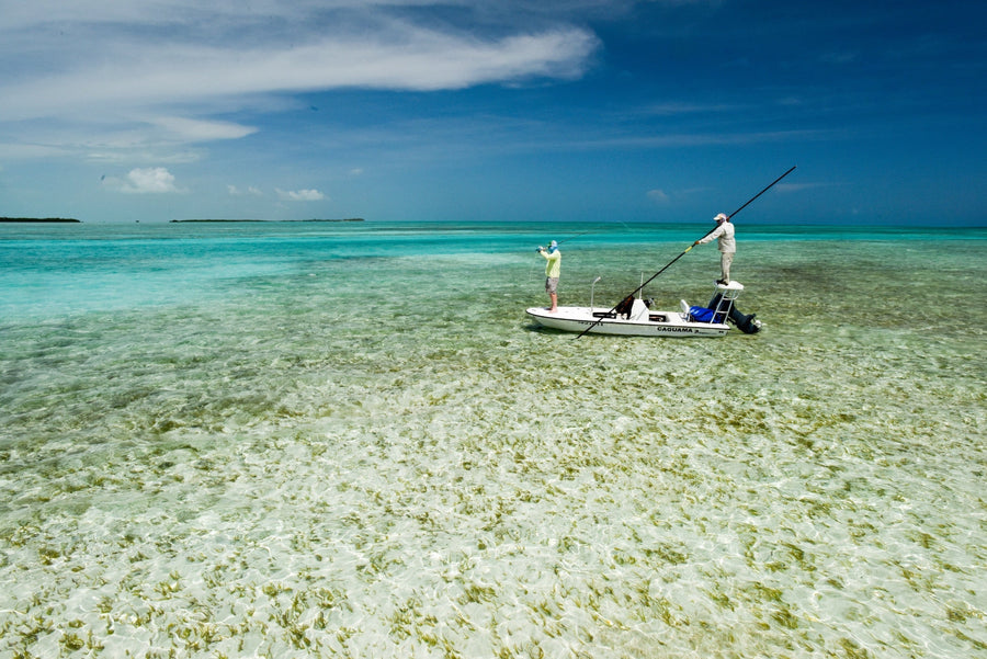 yellow-dog-flyfish A Guide to the Fisheries of Cuba.